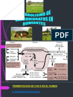 Fermentación ruminal y metabolismo de carbohidratos y ácidos grasos volátiles