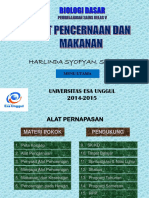 11.-Pertemuan-11-Alat-Pencernaan-Dan-Makanan-Manusia-dan-Hewan