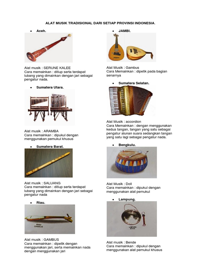 Alat Musik  Tradisional  Dari Setiap Provinsi Indonesia 
