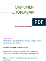Komponen Sitoplasma-Kbk