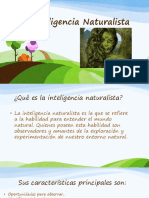 Inteligencia Naturalista