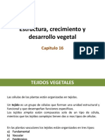 Estructura, Crecimiento y Desarrollo Vegetal PDF