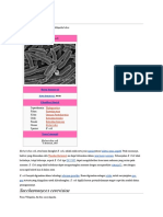 Download Escherichia coli by superkardo SN36411465 doc pdf