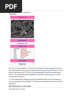Download Escherichia coli by superkardo SN36411465 doc pdf