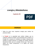 Energia y Metabolismo PDF