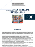 Organizacion Curricular 2013 Veracruz