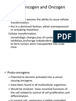 Proto Oncogen and Oncogen