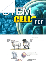 Powerpoint Stem Cell