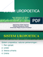 4. Sistem Uropoetica.ppt