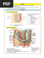 Rangkuman Hernia