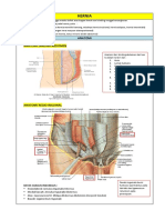 Rangkuman Hernia