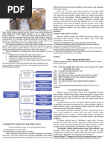 Download ippi tugas by nur asirah SN364127809 doc pdf