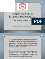 DIAGNÓSTICO DE SITUACIÓN EN SALUD.pptx