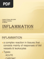 Pathophysiology of Inflammation  Inflammation  Macrophage