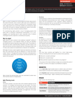 Agile Executive Summary.pdf