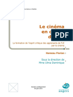 Cinema Et Fle