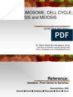 4. Chromosome Cell Cycle Mitosis Meiosis