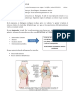 338937020-CAP-38-Fisiologia-de-Guyton-13-edicion.docx