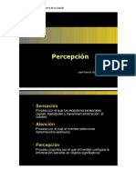 5 Leyes de La Percepción