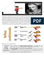 Correção Da Ficha de Trabalho Sobre o Behaviorismo de Watson