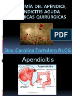 Anatom A Del AP Ndice y T Cnicas Quir Rgicas Carolina Tortolero r1cg
