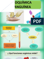 Bioquímica Sanguínea