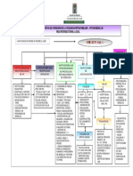 Flujograma VIF PDF
