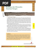 Download Bab 3 Budidaya Dan Wirausaha Tanaman Pangan by operator dapodik SN364165373 doc pdf