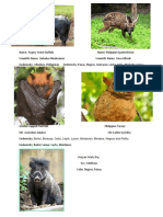 Endemic Mammals in The Philippines