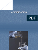 24607805-Acidificacion