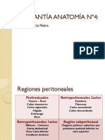 Ayudantía Regiones Peritoneales PDF