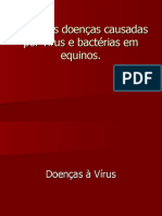 A6 Doencas Causadas Por Virus e Bacterias