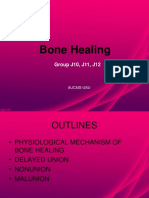 Bone Healing Presentation Adited