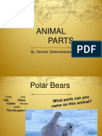 Animal Parts: By: Semhar Ghebreselasie