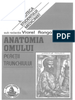 Anatomie Peretii Trunchiului Ranga