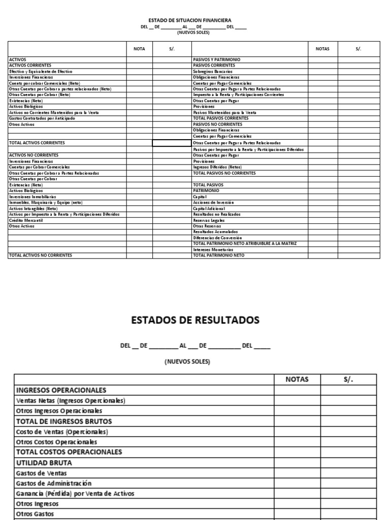 Formato de Estado de Situación Financiera | PDF | Compartir (Finanzas ...