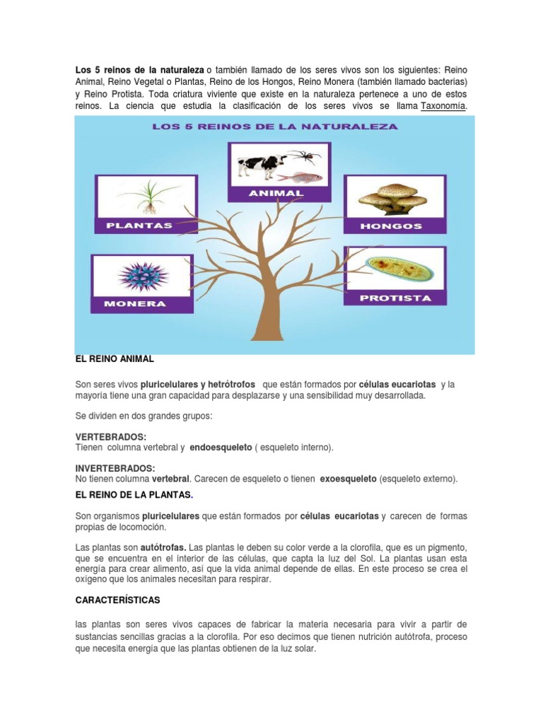 Los 5 Reinos de La Naturaleza | PDF | Plantas | Protozoos