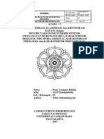 Laporan Praktikum Sistematika Mikrobia Acara 3 Kapang