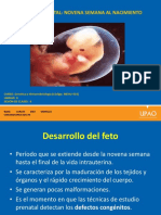 Desarrollo Fetal