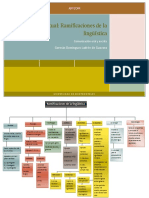 Ramificaciones-de-la-lingüística.docx