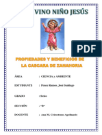 Proyecto Zanahoria