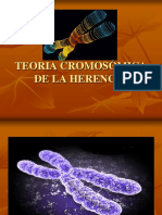 teoriacromosmicadelaherencia-140725162226-phpapp01