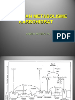 Gangguan Metabolisme Karbohidrat