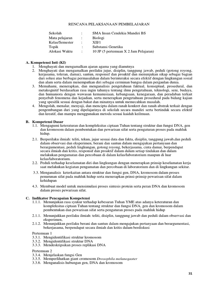 RPP 3 Dna Rna Kromosom | PDF
