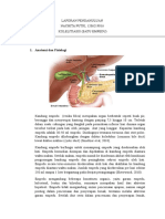 LP Kolelitiasis Nachita