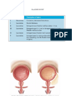 Trauma Buli Dan Urethra