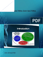 Archeabacteri and Bacteri