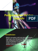 Pengendalian Vektor Terpadu