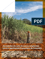 Variedades de Caña de Azúcar Empleadas para La Agroindustria Panelera de Colombia