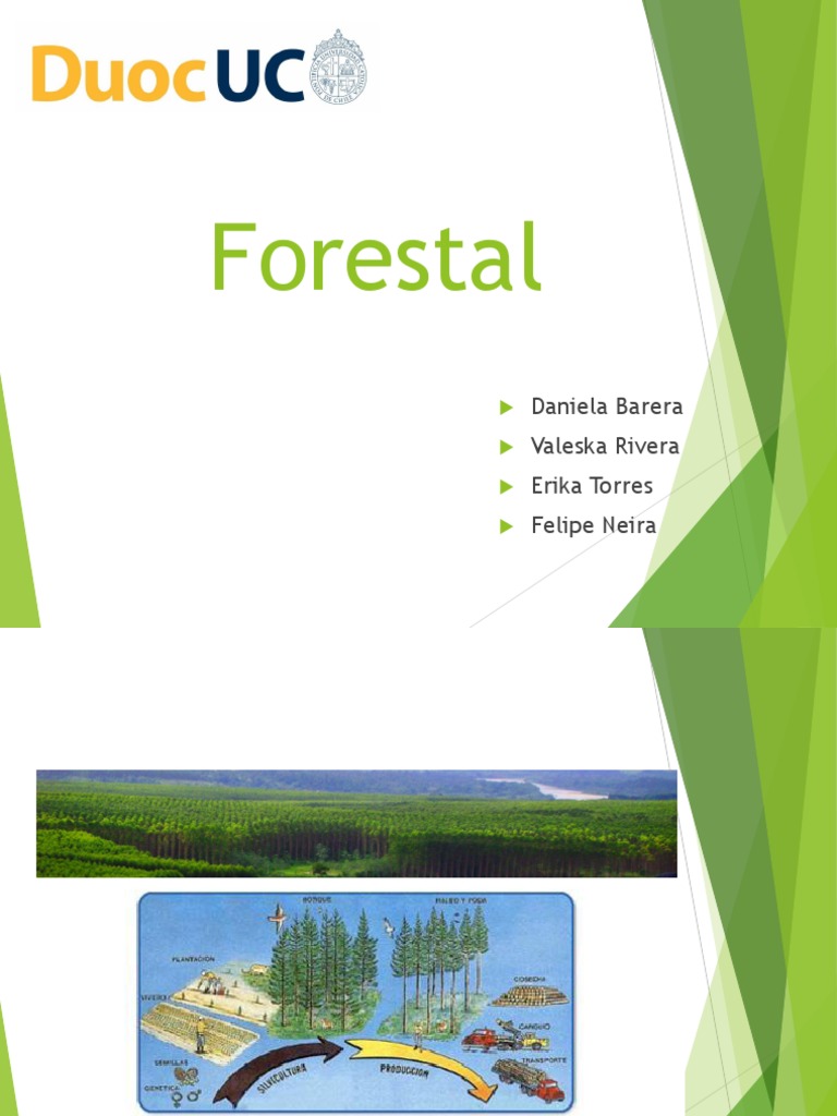 Forestal | PDF | Hogar, jardinería y bricolaje